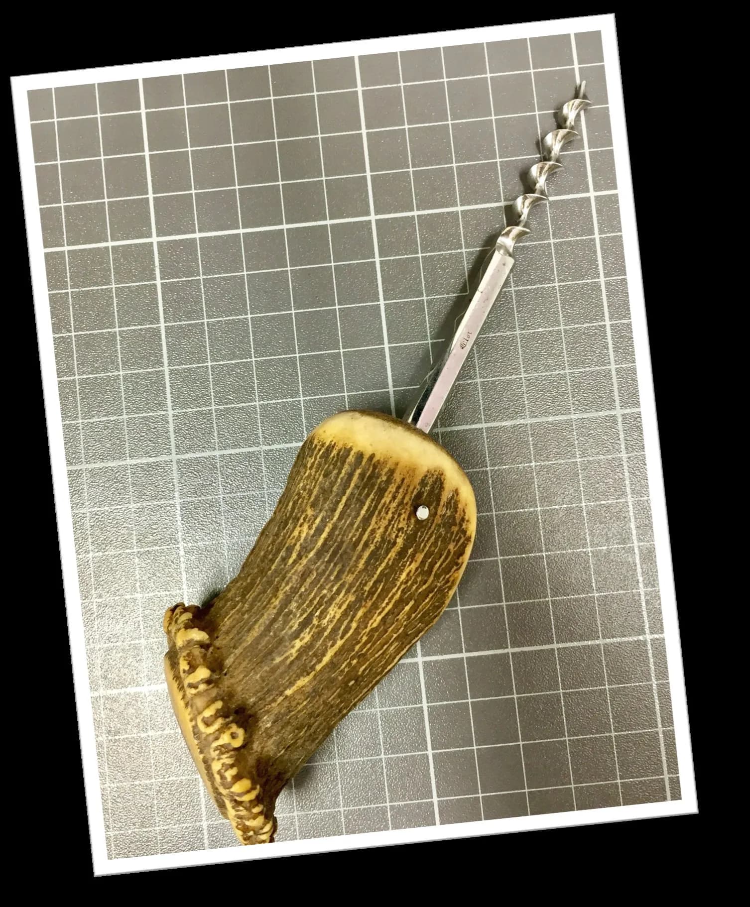 ELOI 1960 TIRE BOUCHON CERF