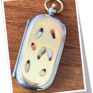 N.I 1890 SOVEREIGN CASE SHIBAYAMA GILT