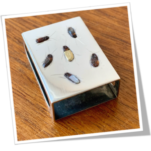 N.I 1930 SHIBAYAMA INSECTE DORÉ ALLUMETTES