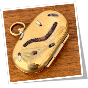 N.I 1910 SOVEREIGN CASE SHIBAYAMA MILLE-PATTES