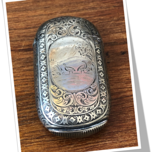 N.I 1890 MOTIFS ET CANARDS EN MÉDAILLON