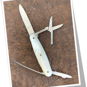 ELOI 1960 NACRE FACETTÉE