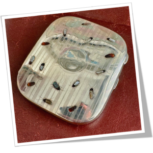 W J MYATT & Co. 1915 ÉTUI À CIGARETTES SHIBAYAMA