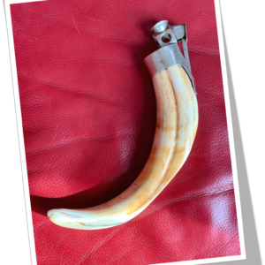 CWS 1920 DÉFENSE TRANS.