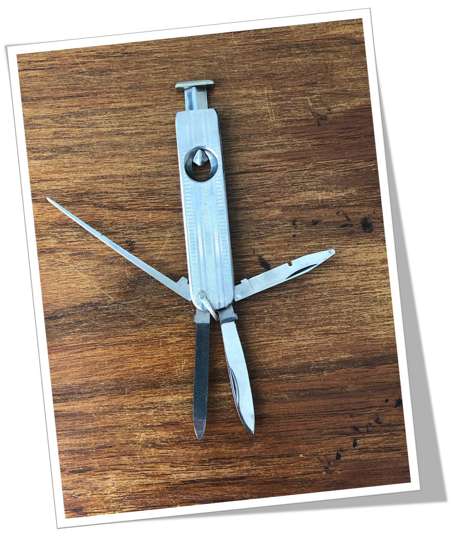 ARNEX 1960 MULTI +4 CAT.