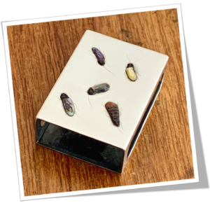 N.I 1930 SHIBAYAMA ÉTUI