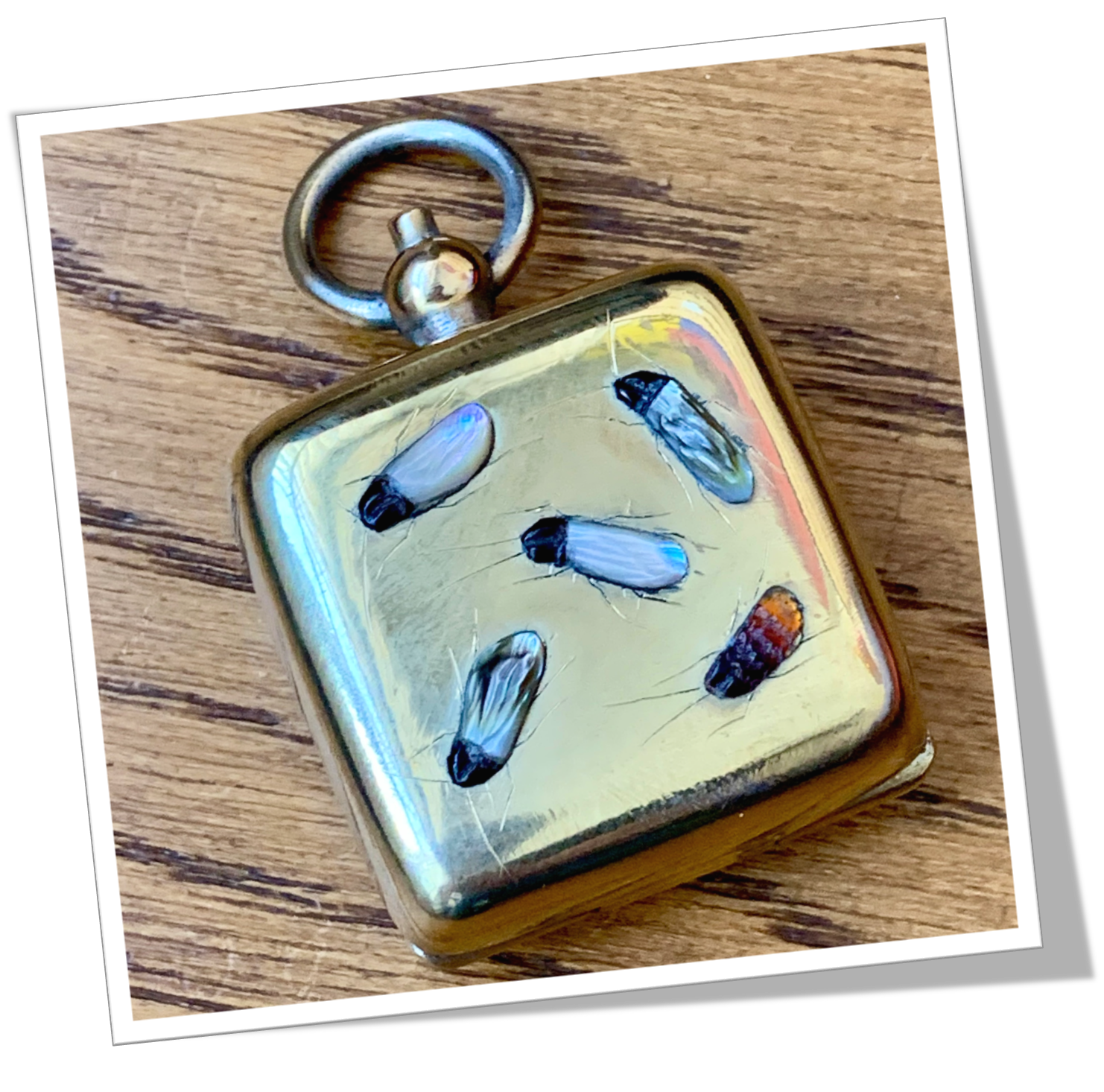 N.I 1910 SOVEREIGN CASE SHIBAYAMA CARRÉ