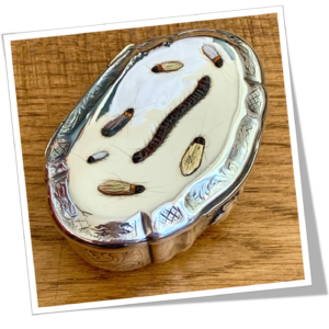 N.I 1890 TABATIÈRE SHIBAYAMA MILLE-PATTES MASQUE