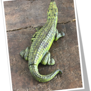 N.I 1950 ÉTUI À CIGARETTES CROCODILE VERT