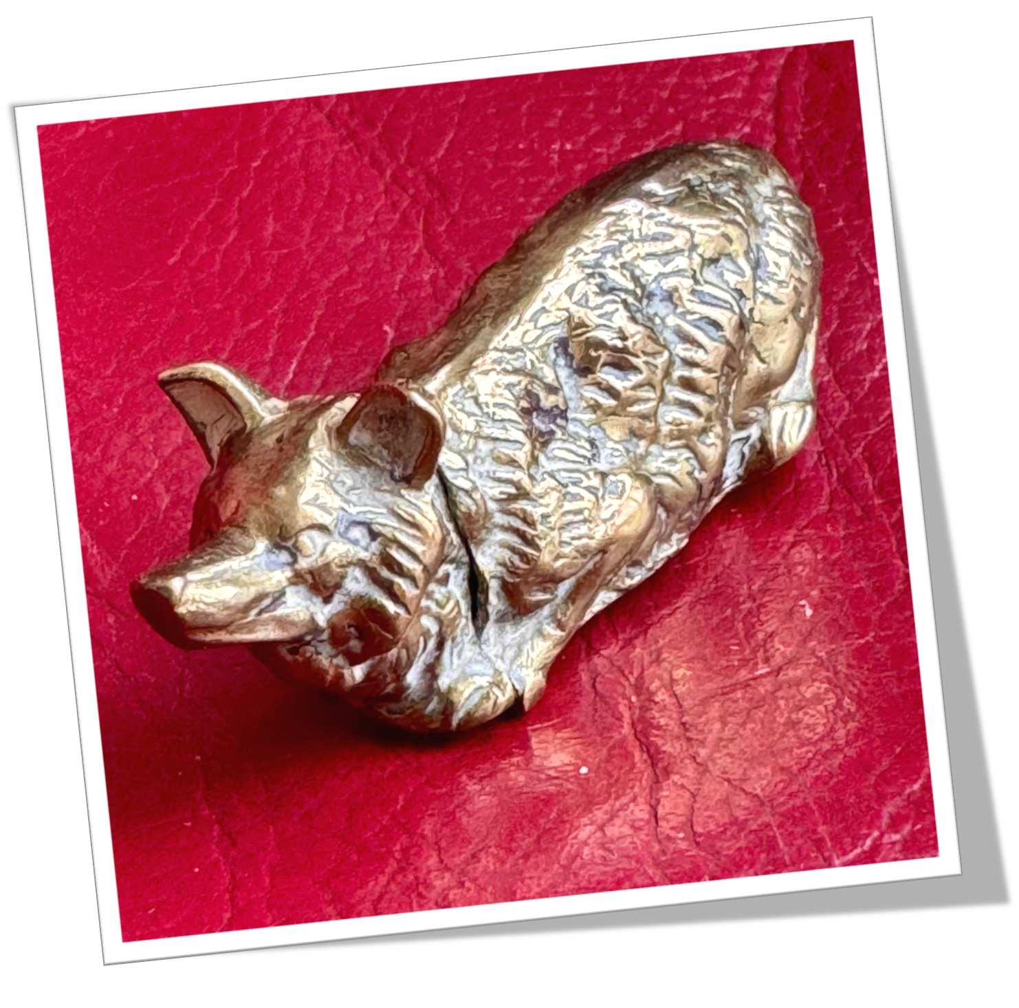 N.I 1890 RENARD COUCHÉ