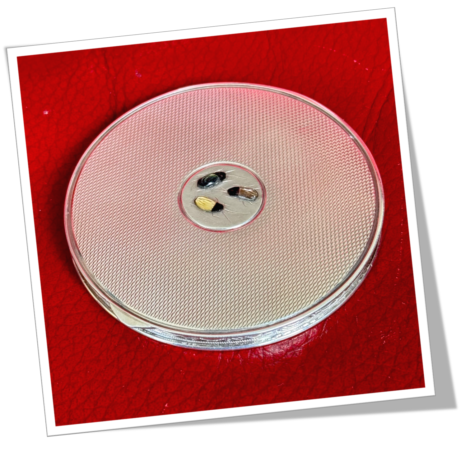 N.I 1950 POUDRIER SHIBAYAMA