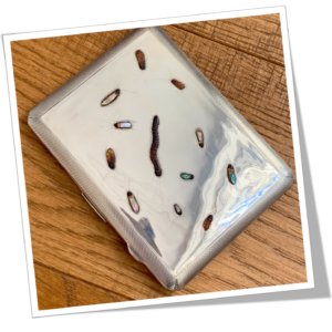 E.J TREVITT 1928 ÉTUI À CIGARETTES SHIBAYAMA MILLE-PATTES