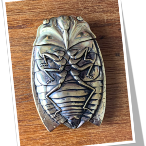 N.I 1930 INSECTE LA MÉTAMORPHOSE