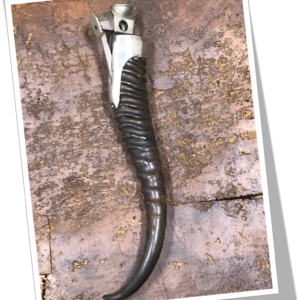 PFEILRING 1950 CORNE IMPALA TRANS.