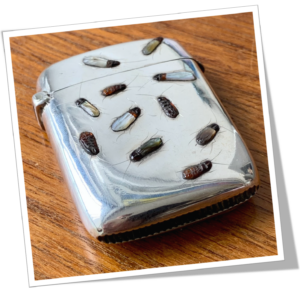 WILLIAM AITKEN 1901 SHIBAYAMA