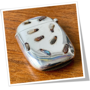 THOMAS HAYES 1889 SHIBAYAMA