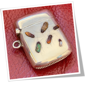 WILLIAM HENRY SPARROW 1911 SHIBAYAMA