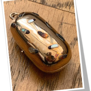 N.I 1900 SOVEREIGN CASE SHIBAYAMA