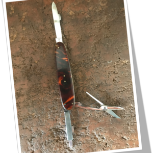 HEUDEBERT ELOI 1970 RHODOÏDE