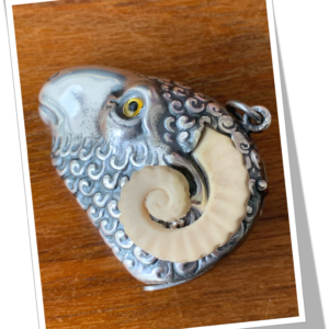 N.I 1950 BÉLIER CORNE BLANCHE