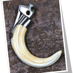 CWS 1940 DÉFENSE PHACOCHÈRE TRANS.