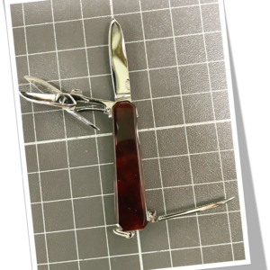 ELOI 1980 ÉCAILLE DE TORTUE