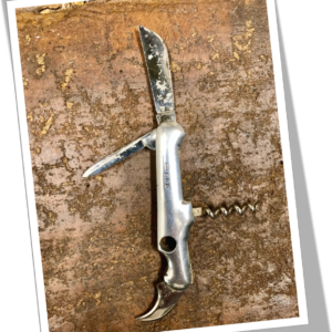 WILLIAM NEAL N.I 1899