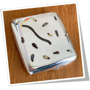 CONSTATINE & FLOYD 1918 ÉTUI À CIGARETTES SHIBAYAMA MILLE-PATTES