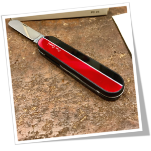 CARDIN RICHARTZ 1980 PC25