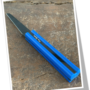 CARDIN RICHARTZ 1980 PC10