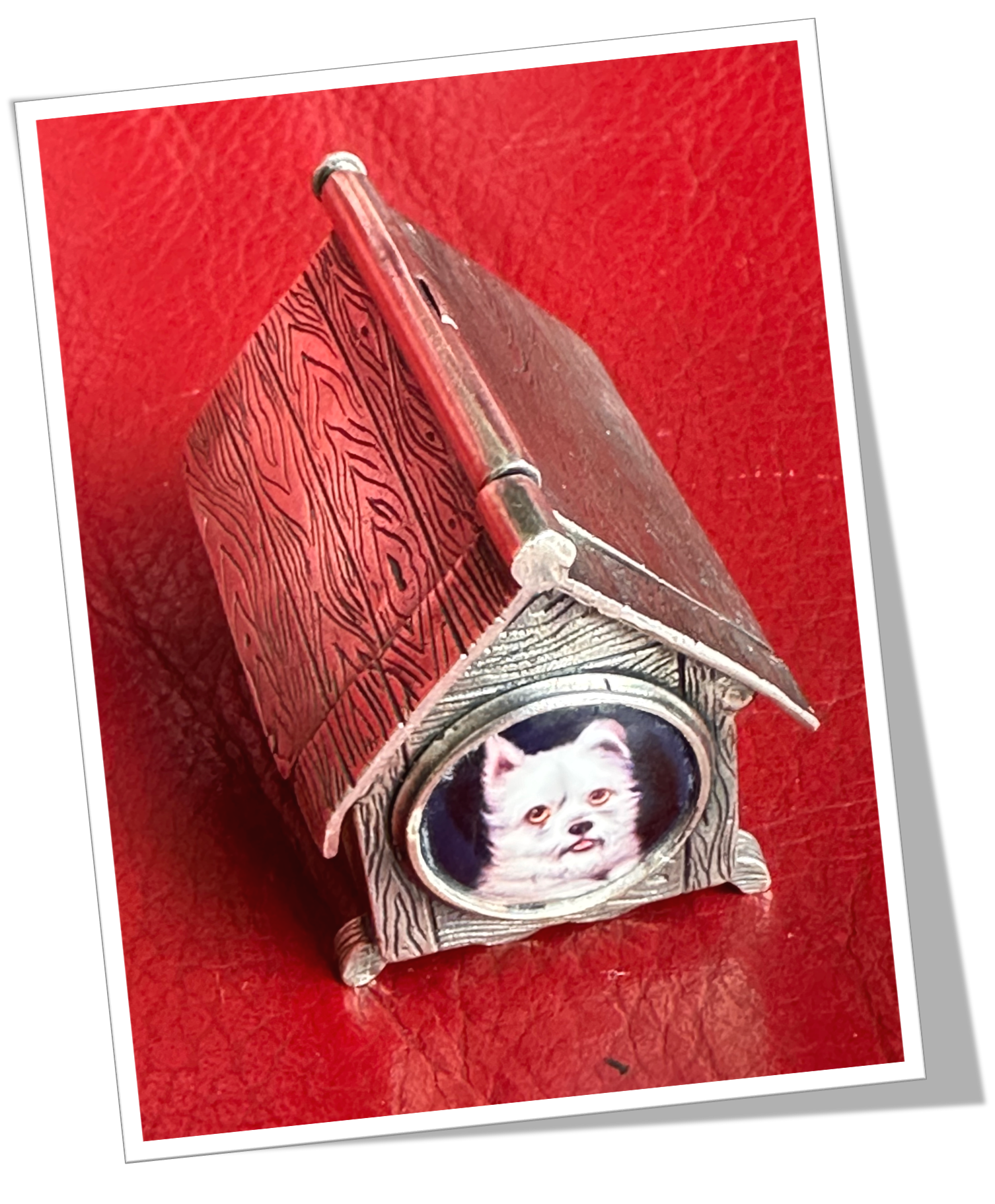 N.I 1900 NICHE CANINE 2