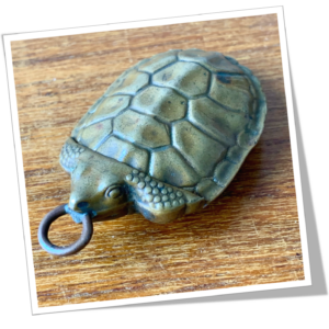 N.I 1880 CARAPACE DE TORTUE