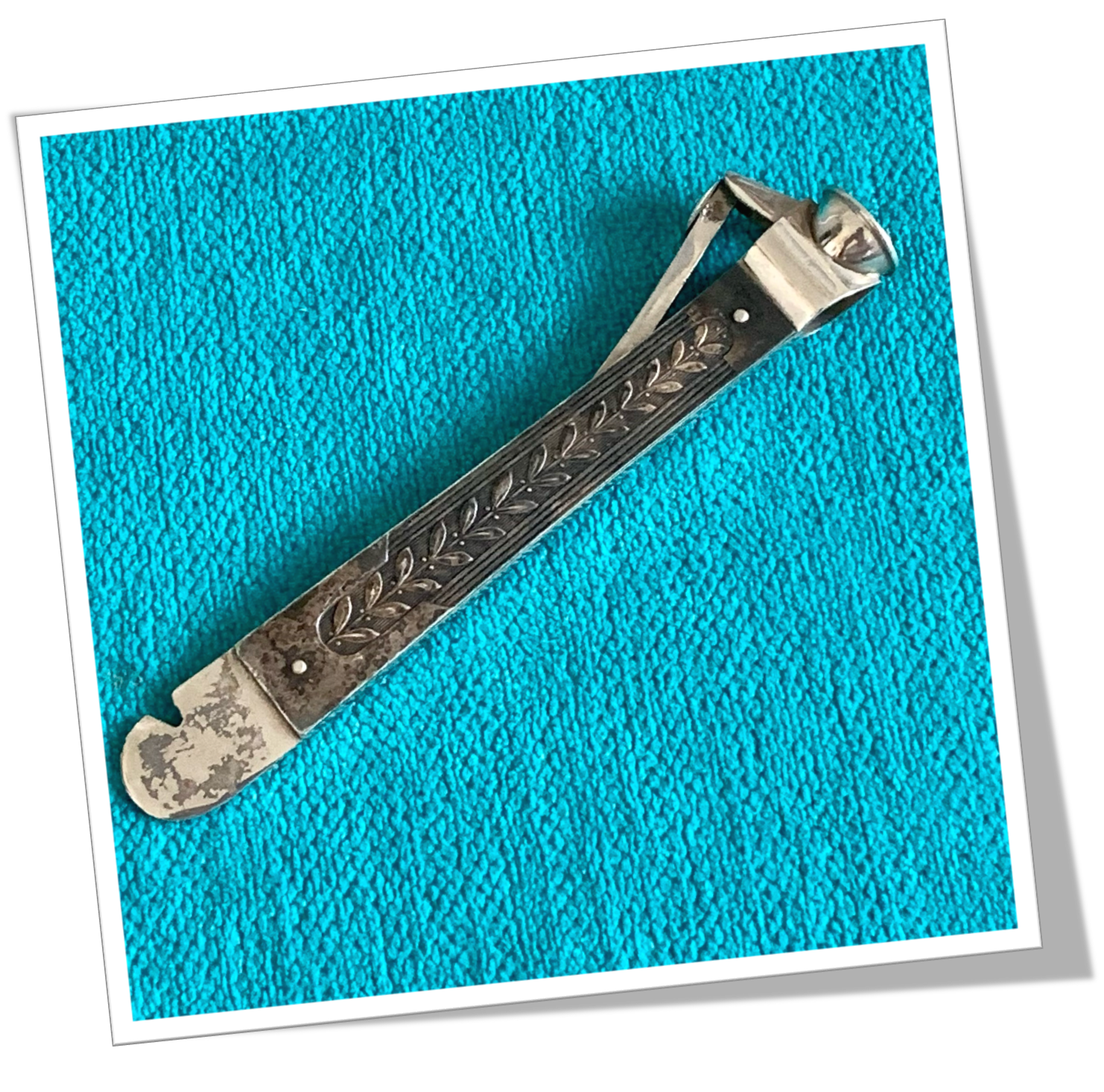 N.I 1900 ÉPI DE BLÉ ANC.