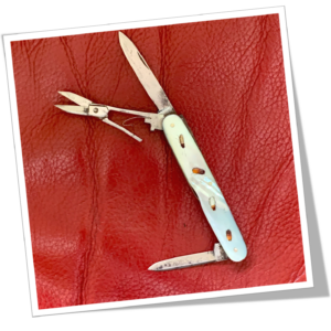 N.I 1910 SHIBAYAMA NACRE BLANCHE