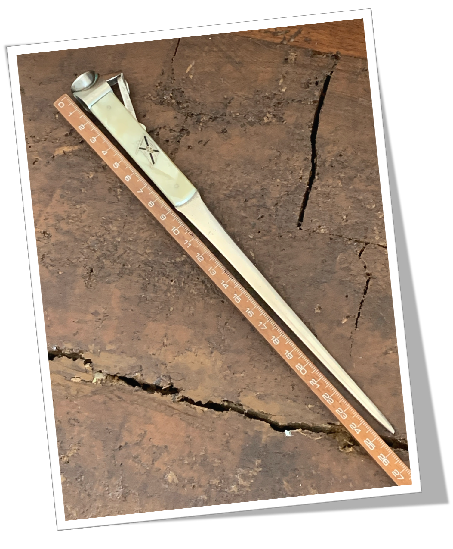 C. SCHLIEPER 1920 RÉSINE NACRÉE DRAPEAU ANC.